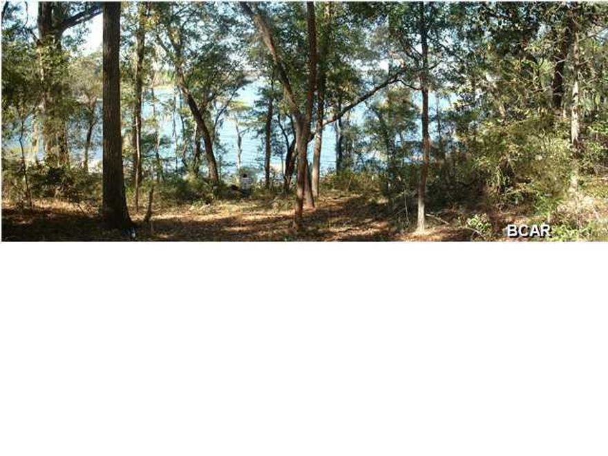 Beautiful wooded lot Lake Lucas, one of the finest fishing spots on one of the largest springfed lakes in Northwest Florida. Soon to be a paved road (see DOT sign) and is on the deep part of the lake so giving good anchorage for your boat. Natural white sand beaches and deep clear blue waters make this a spectacular place to fish, boat, and ski with a getaway halfway between Panama City and Chipley. This lake remained boatable during the previous drought. Just off Hwy 77 on Hwy 279 (Mossy Pond Rd) on a County maintained gravel road. Nice adjacent homes to the property and good elevation for homesite placement. Subdivision excerpt from the plat survey is available and lot is marked with flagging tape on the property boundaries. Seller to have lot bush hogged soon.
