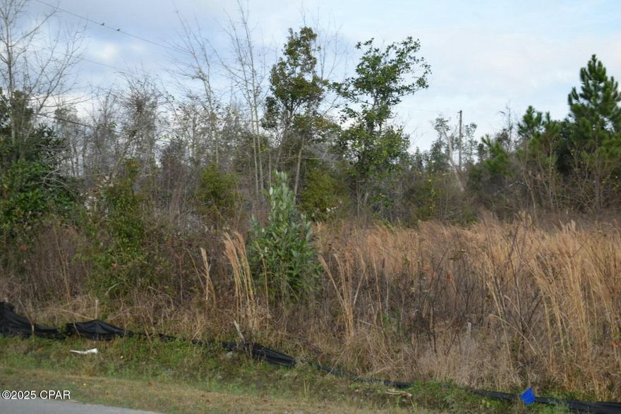 Two lots in a fast growing area. 
 Parcels 15157-000-000 and 15157-010-000. 
They can be purchased  separetely $28K each side or together. 
Seller has construction aproved permits that can be reopened  and an approved plan for construction of two duplexes. He is willing to give the plans with a full price offer, a great oportunity for investors.
Measurements are approximate.