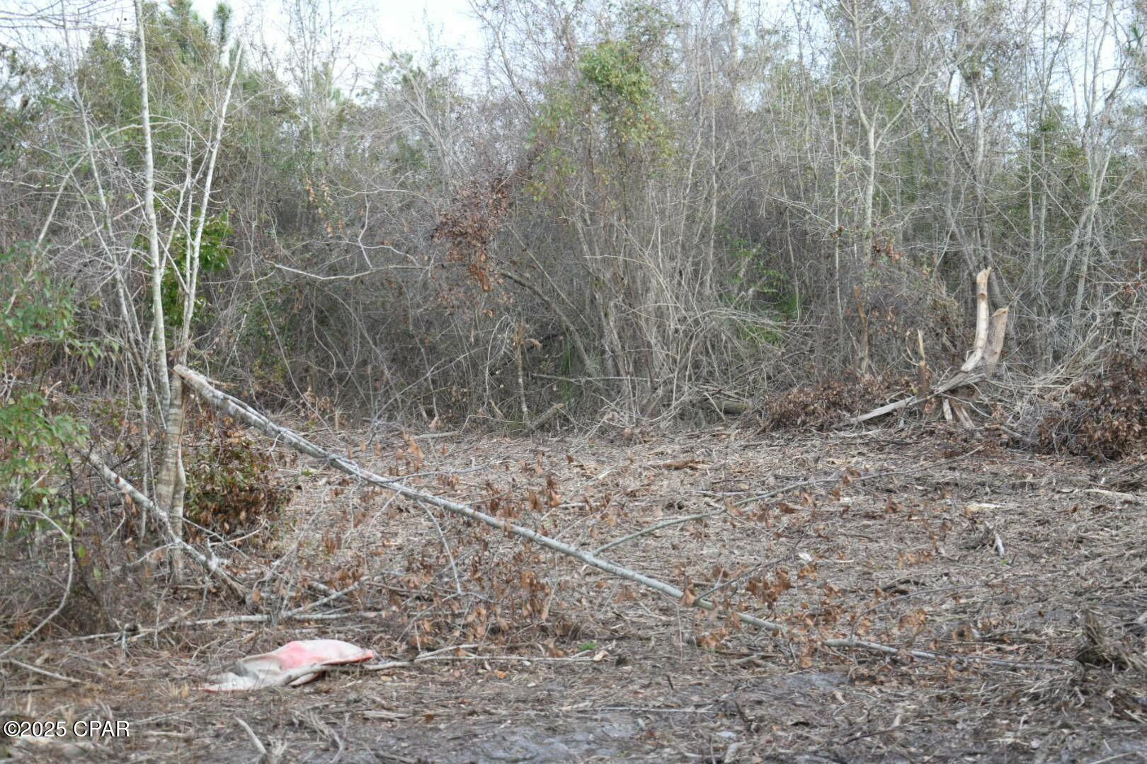 C A Taylor's 2nd Addition Calaway - Land