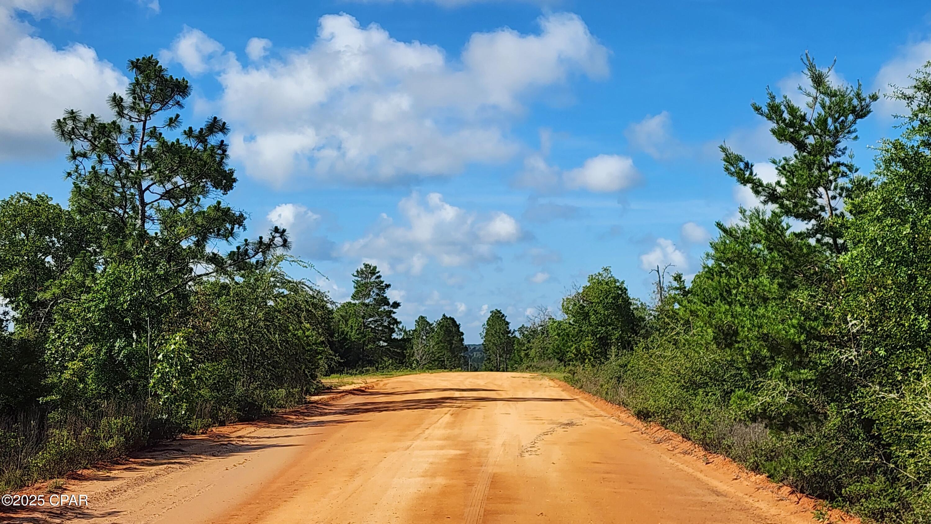 Silver Lake Estates - Land