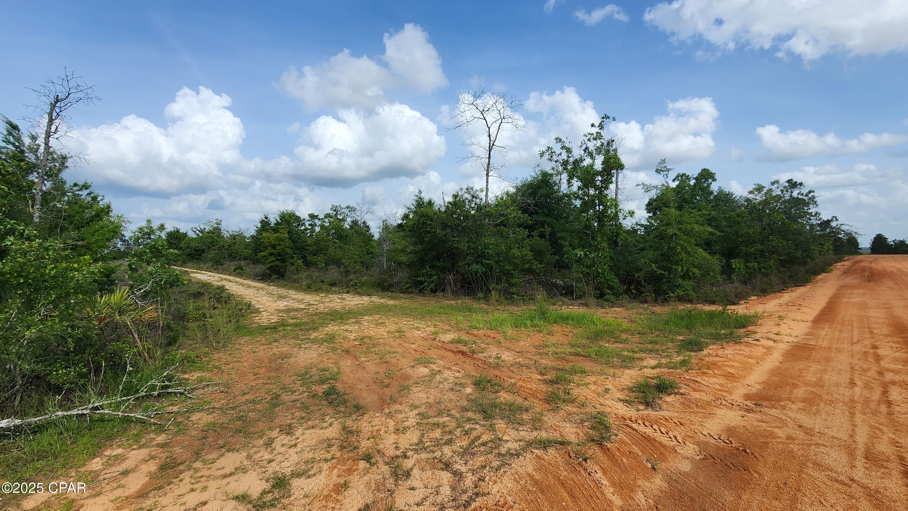 Silver Lake Estates - Land