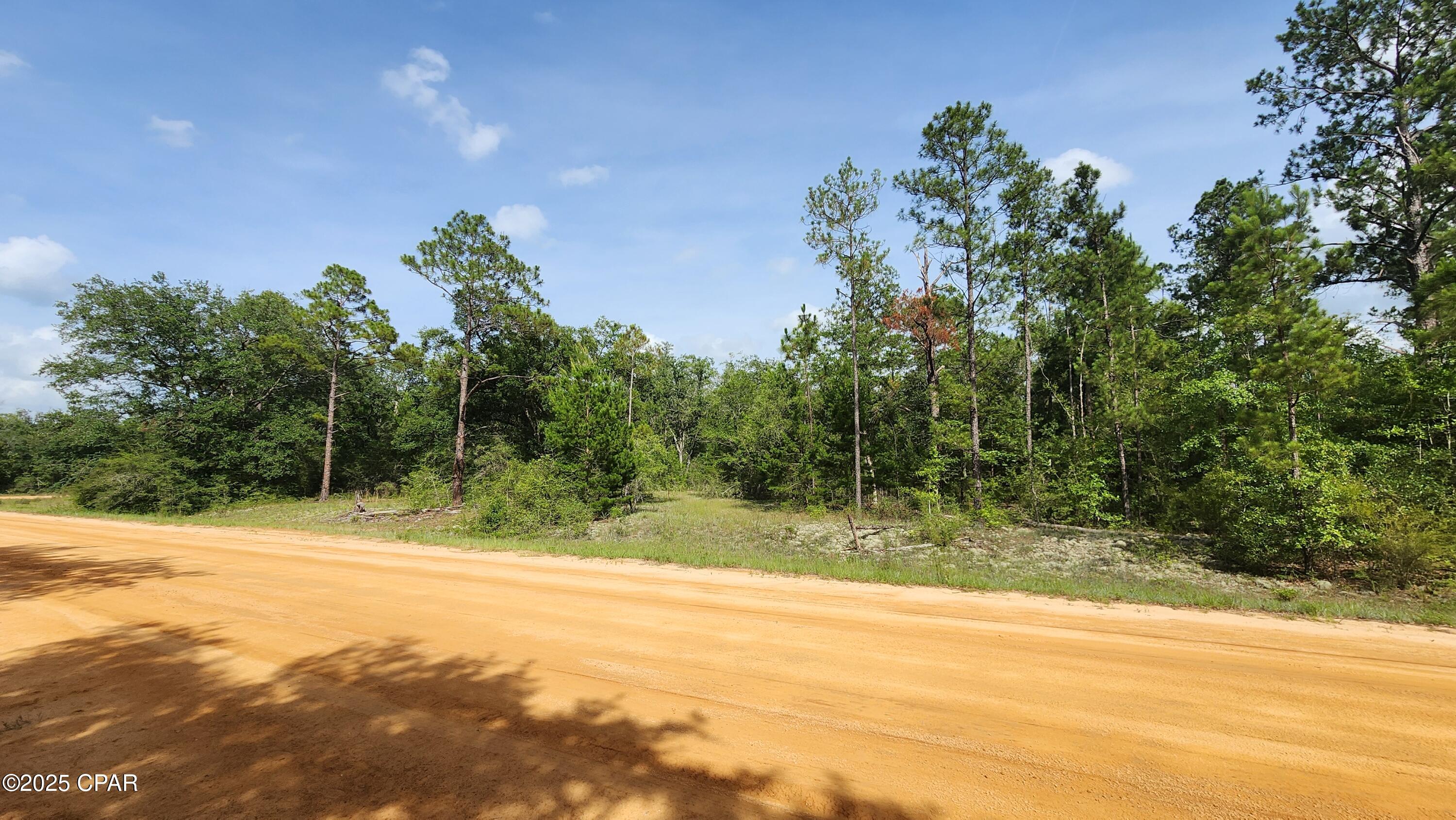 Silver Lake Estates - Land