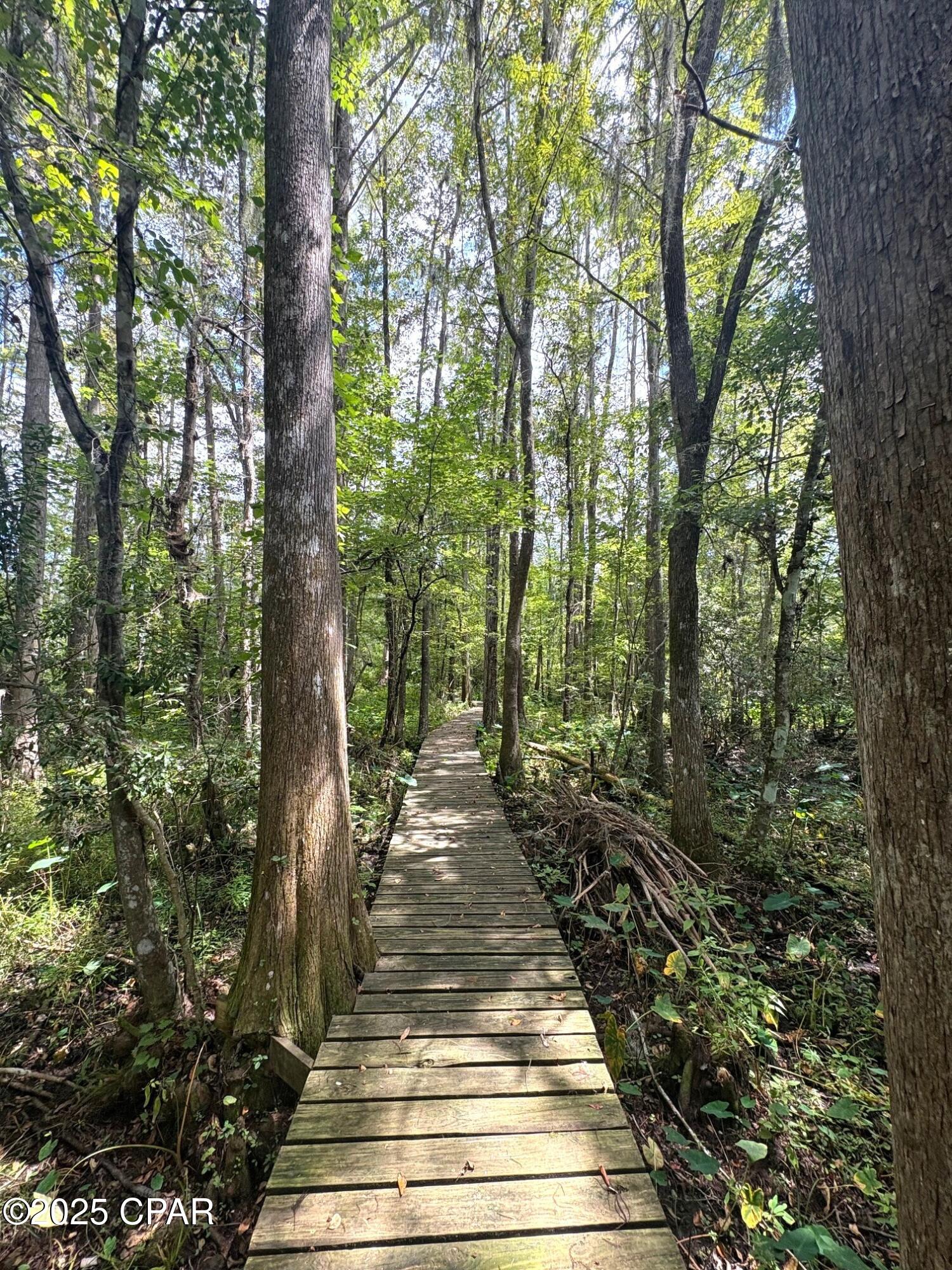 Indian Springs - Land