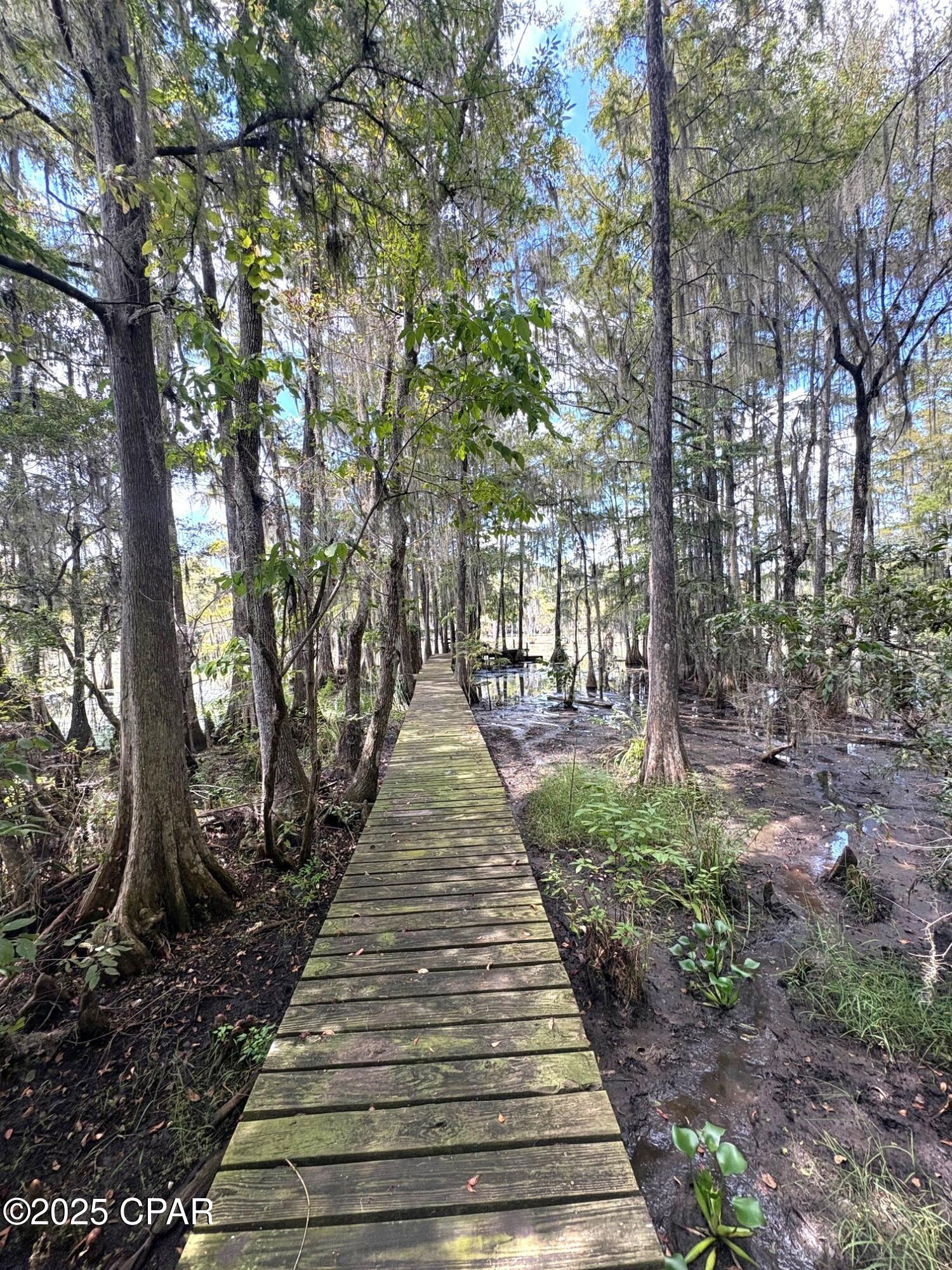 Indian Springs - Land