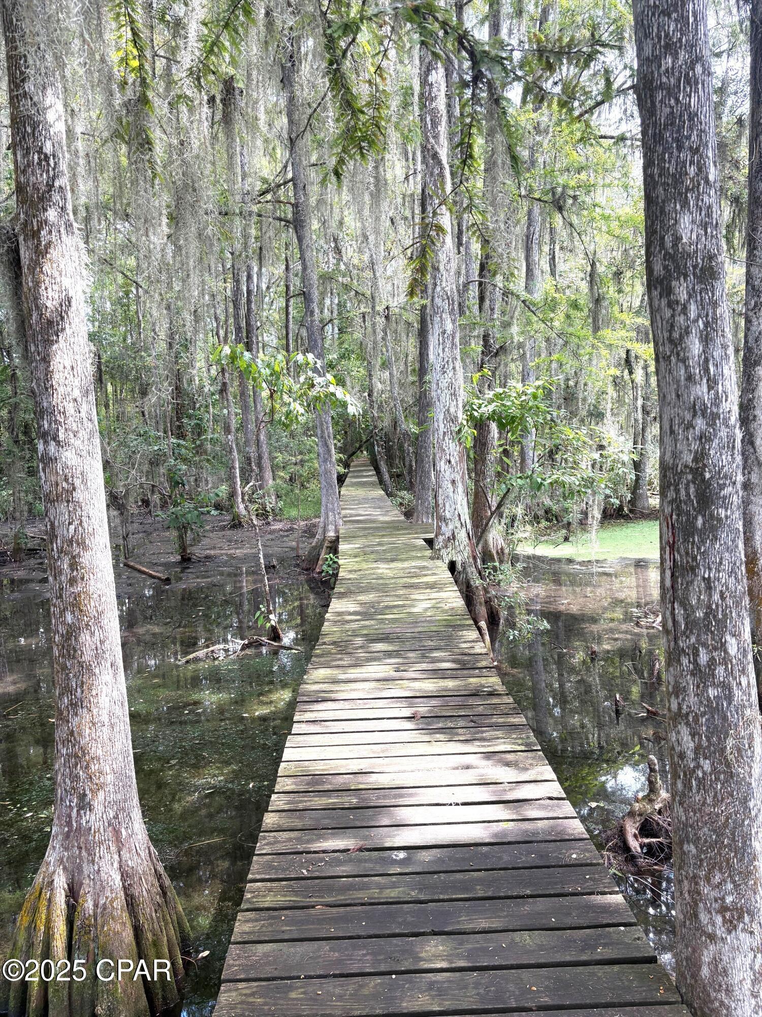 Indian Springs - Land