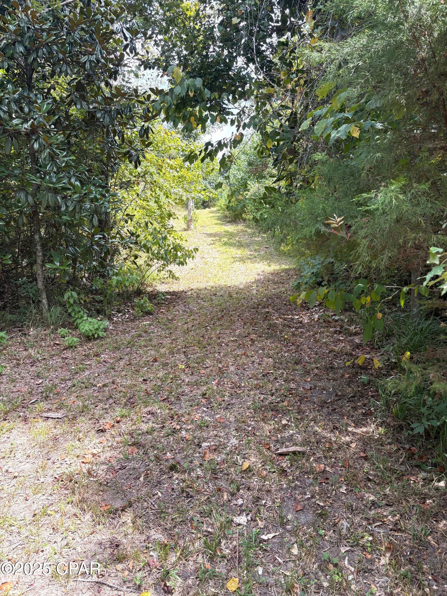 Indian Springs - Land