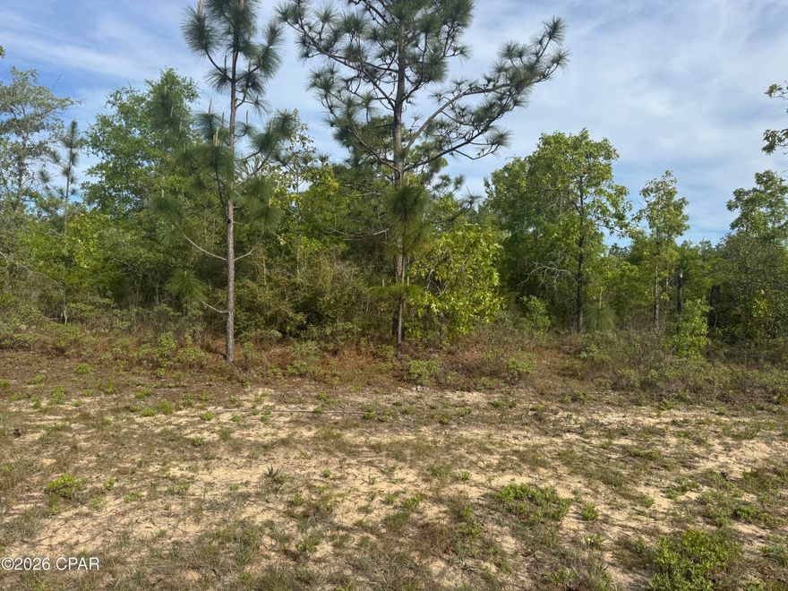 Nice building lot in South Washington County, 45 minutes to worlds Most Beautiful Beaches and the Northwest Florida Beaches International Airport.  Sunny Hills offers a great golf course and many Lakes to go fishing , swimming and  boating.