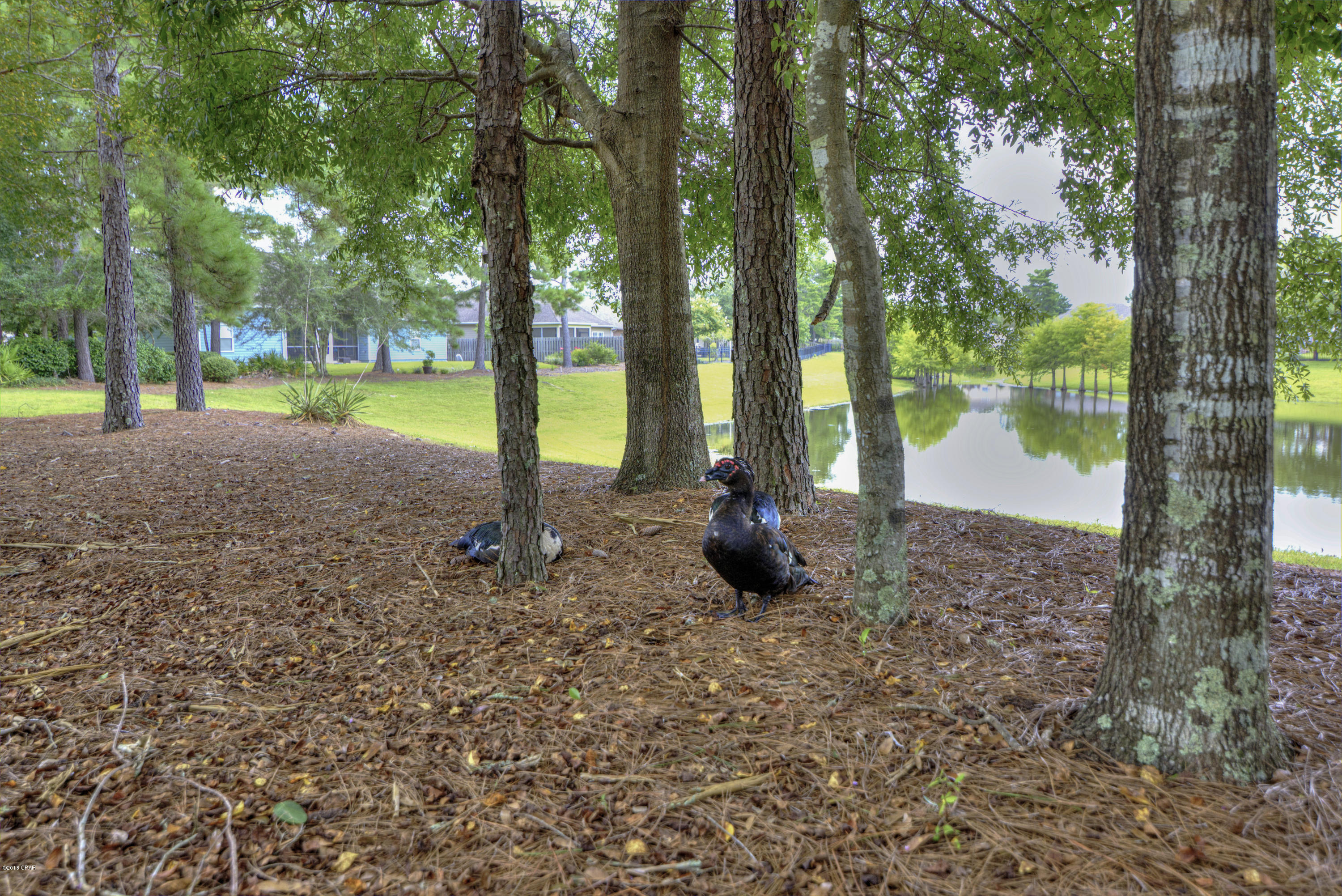 Hammock Bay - Residential