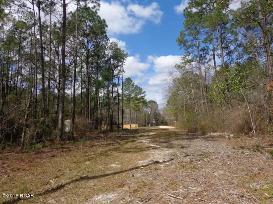 Wooded lot in the town of Fountain. Close drive to Hwy 231. Priced to sell quickly