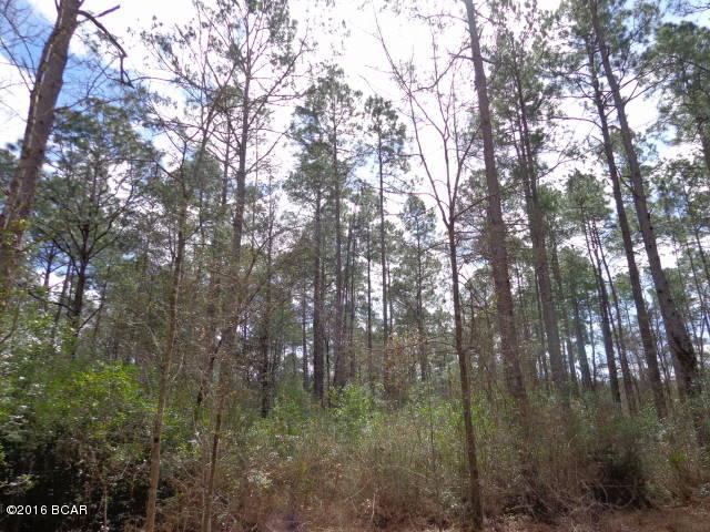 Fountain Replat - Land