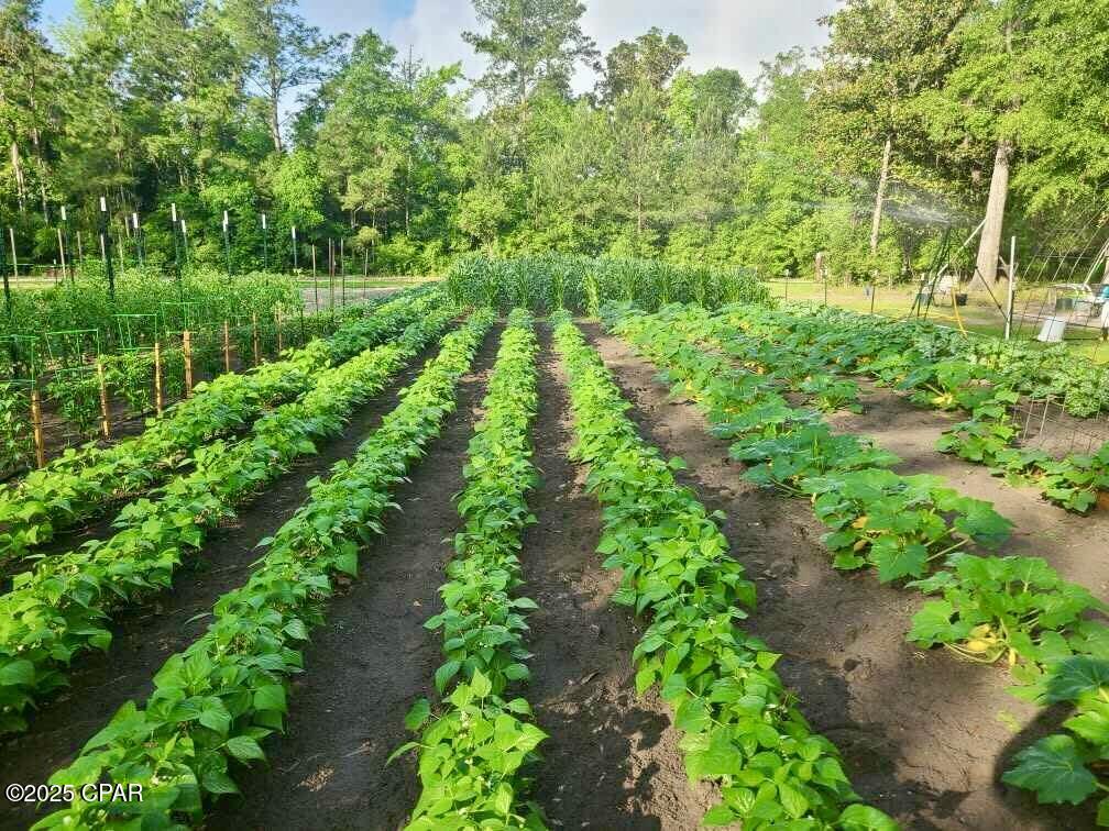 Paradise Oaks - Residential