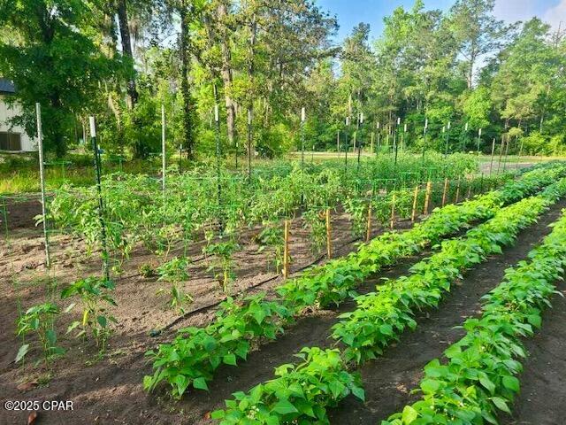 Paradise Oaks - Residential