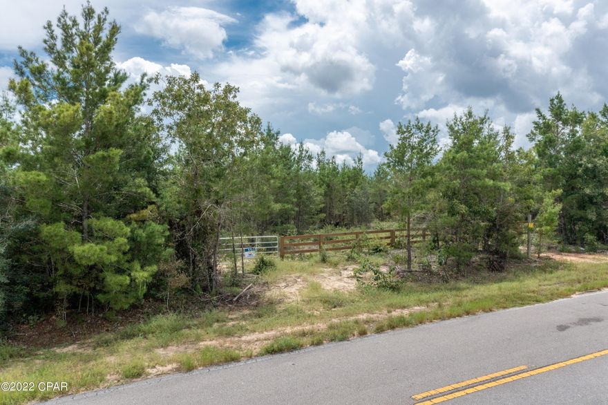 UNDER CONTRACT BUT SELLER ACCEPTING BACK UP CONTRACTS----Desired location on paved road offers privacy and seclusion.  Features of this parcel offer mixed hardwoods, a long driveway, and no restrictions.  Close to schools and easy access to town and Beaches.  Go take a look, we won't mind.