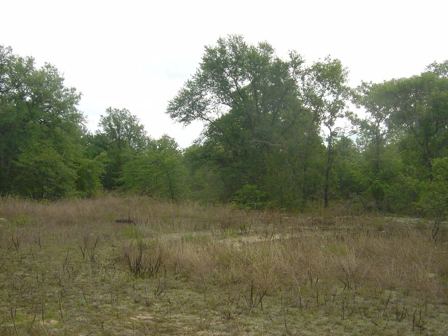 Great level lot in Compass Lake with all the amenities of CLH including beach area, swimming pool, tennis cts. and great fishing.