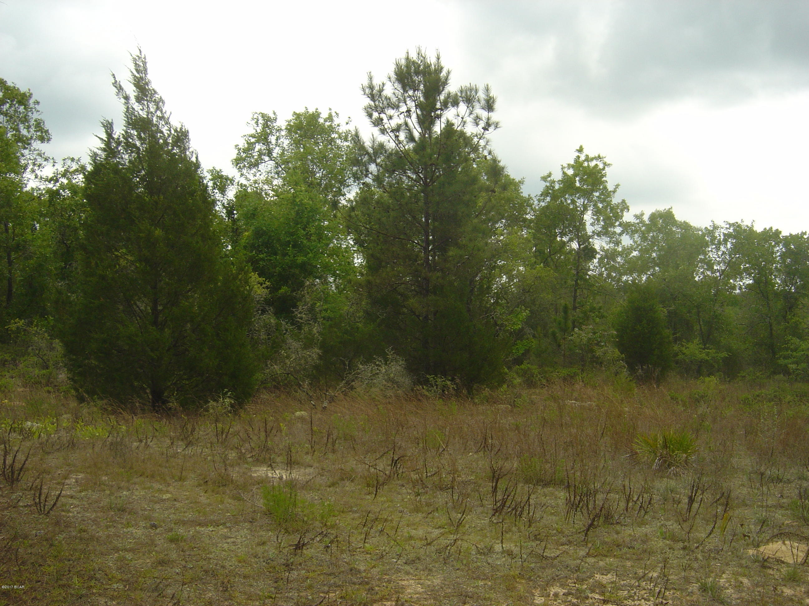 Compass Lake Hills Unit 3 - Land