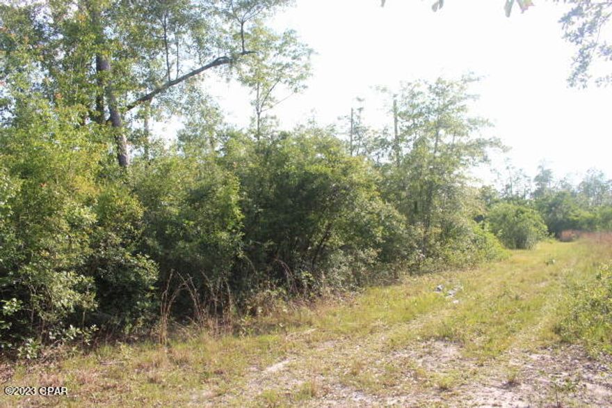 Wooded lot in the City Limits of Fountain. Located in Flood Zone X.  1/2 hour drive +/- to Panama City Mall.