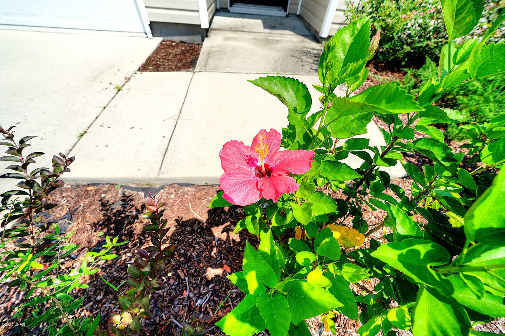 Olde Towne Village - Residential