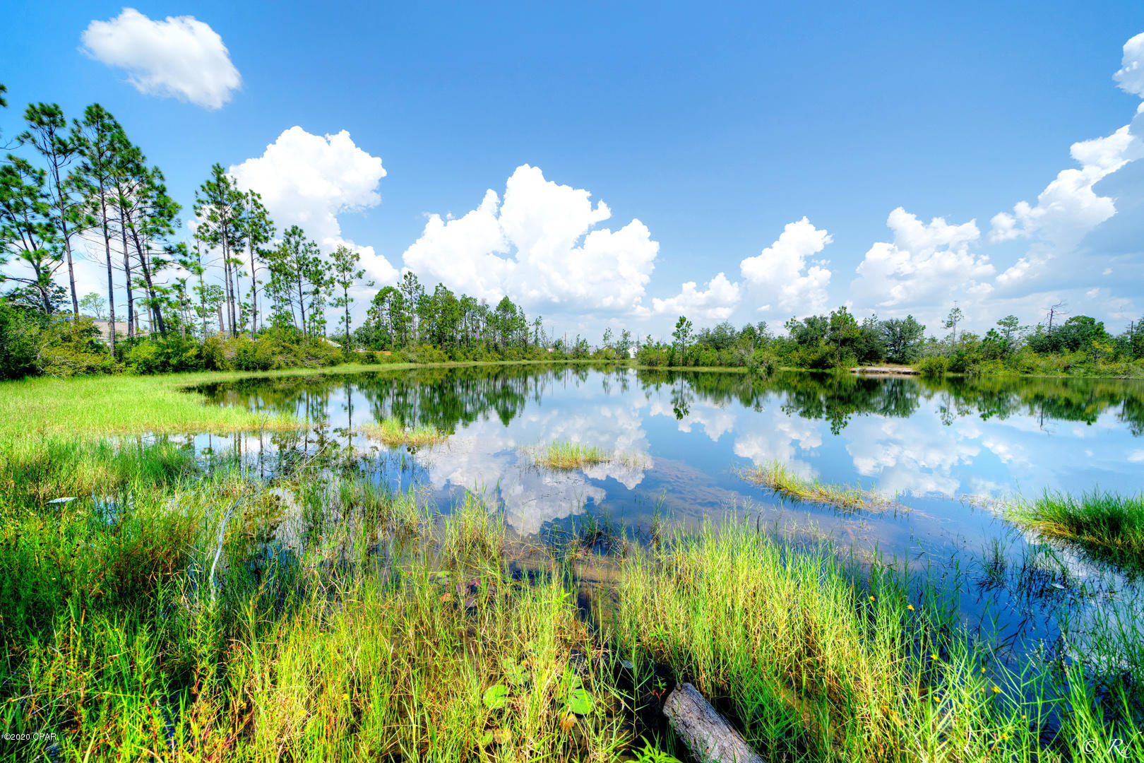 Olde Towne Village - Residential