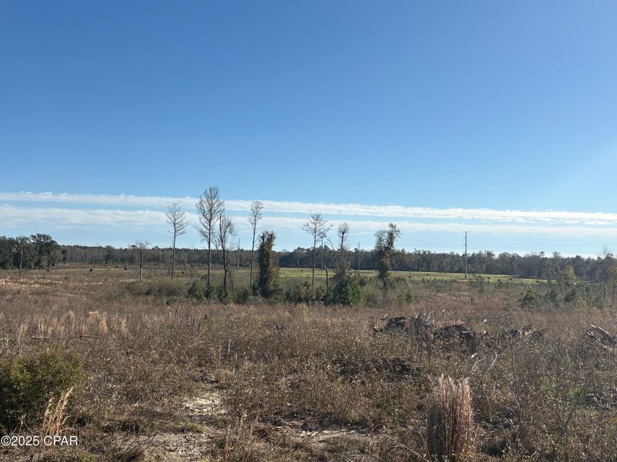 163.40 +/- Acres located in the Florida Panhandle between Cottondale and Graceville. 40 acres cleared rowcrop land, 120 acres that was cut over about 3 years ago, stumps have rotted so should be pretty easy to clean up or just burn, and a few acres in pasture just right for a horse.. A big elevated hill offering a 360 view of the total property. Clean it up for pasture, farming, planting trees or just a great recreational tract with good hunting. There are 3 or 4 ponds on the property too, one stocked and the others for the game. Also included is a 3BR/2B, brick home that needs repair, it appears to have a good roof, working C/E heat and cool, ect. Could be used as a hunting 
lodge or residence with some work.