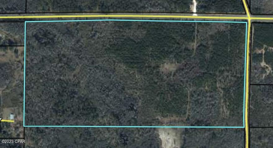76 acres on a paved county road cornered with a county graded road.  Excellent hunting, and great place to build your new home or getaway.  Wooded and ready for your choice of many sites.  Could be an excellent place to subdivide with approval.  Only about 2 miles to Hwy 231 and 4 miles to I-10 and 45 minutes to Panama City Fl.