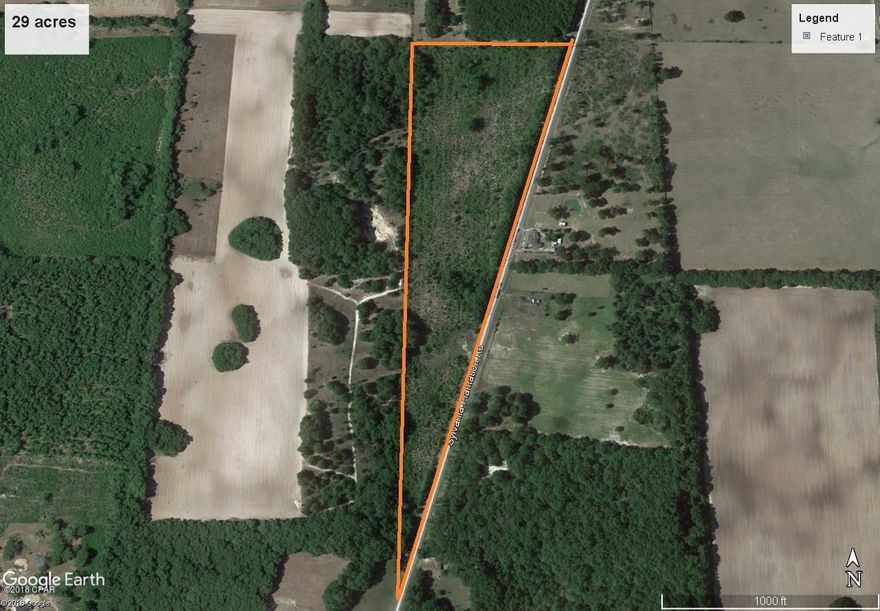 29.36 ACRES with approximately 2800 front foot on paved Sylvania Plantation Rd. Residential, farming, trees, horses, bring it!! Timber has been cut a few years back and has volunteer hardwoods, can be easily cleaned up for your use. Troup sand and wicksburg soils, good for pasture or trees. See aerial, topo, and soil map