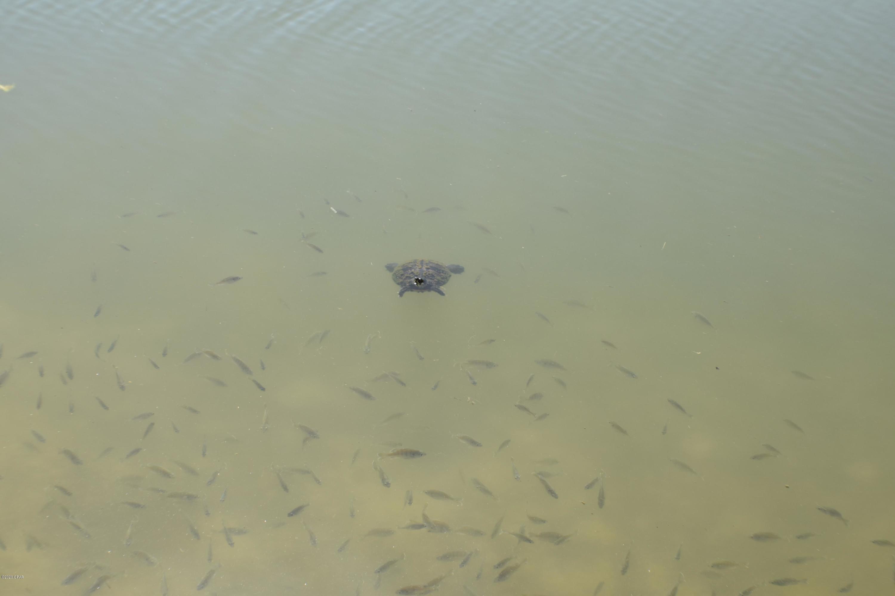 Sugar Beach Condo - Residential