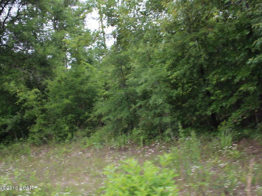 * PRICE REDUCED * 10 acre parcel of property consisting of mixture of native trees. Copy of covenants and restrictions in file. Single family residences including mobile homes are allowed. This would make a nice investment property.