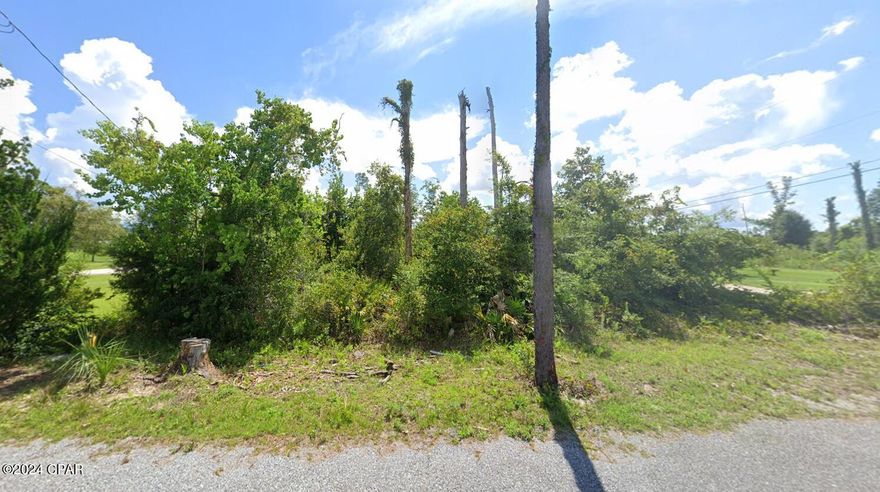 Great location just off of Hwy 390 its a perfect place to build your dream home. The property is on a dead end road so there is very little traffic but at the same time you will have a new publics and all its shops within a 5 min drive and tennis courts almost right across the street. Go by and check it out today. There is no sign on the property at sellers request. All measurements are off the property appraisers web site so measure if important.