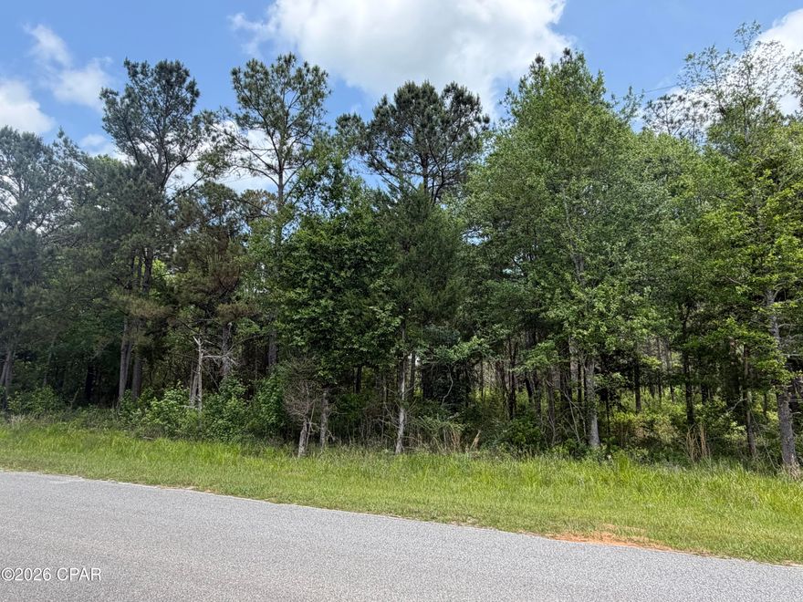 This beautiful wooded lot is the perfect canvas for your new home. Great location minutes from the amazing small town of Vernon. Enjoy the convenience of small town living while having Panama City Beaches at your finger tips.
The property is on a county maintained paved road. ALL MEASUREMENTS ARE APPROXIMATE AND ARE TO BE VERIFIED.