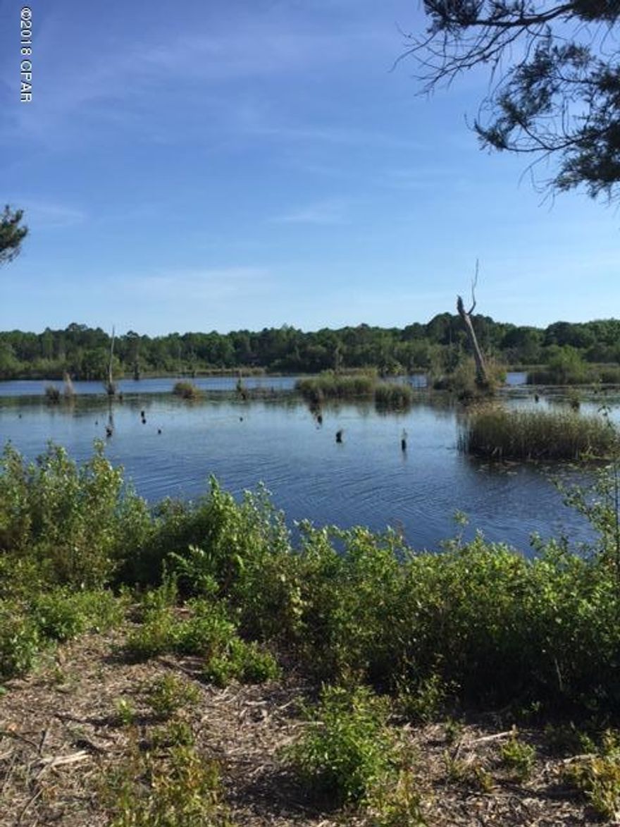 Beautiful 1/2 acre plus lot on Deerpoint Lake.  Mostly cleared with standing hardwood trees.  Seller financing may be an option.