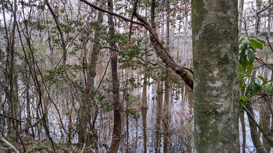 Nice lot in the Caryville Camp Sites.