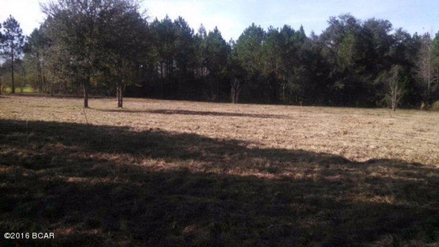 A very nice high & dry property of 2.5 acres. Located near schools,hospital, and shopping facilities. Property is cleared and fenced as for pasture or grass. Some young pine trees border the property as well as young pecan trees and oaks for landscaping. The access is an easement that is cleared with fill dirt and culverts already in place. Will make a beautiful private home site!!