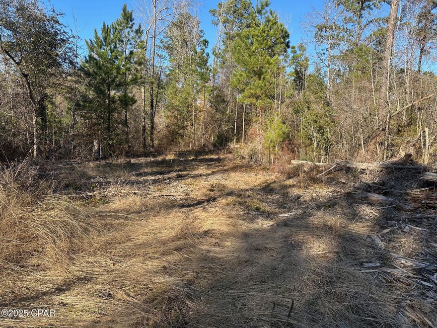 Located on HWY 90 between Marianna and Cottondale. This property features high and dry land that can be used to build a secluded home, poll barn, or whatever you wish to use at your discretion. Could also be great for hunting. Located right across the street from Circle D Ranch where they have Rodeo events and just down the road from the AG center. Trails for access has recently been cleared, and large trees are still prevalent in the property. Come see for yourself if this property is right for you!!