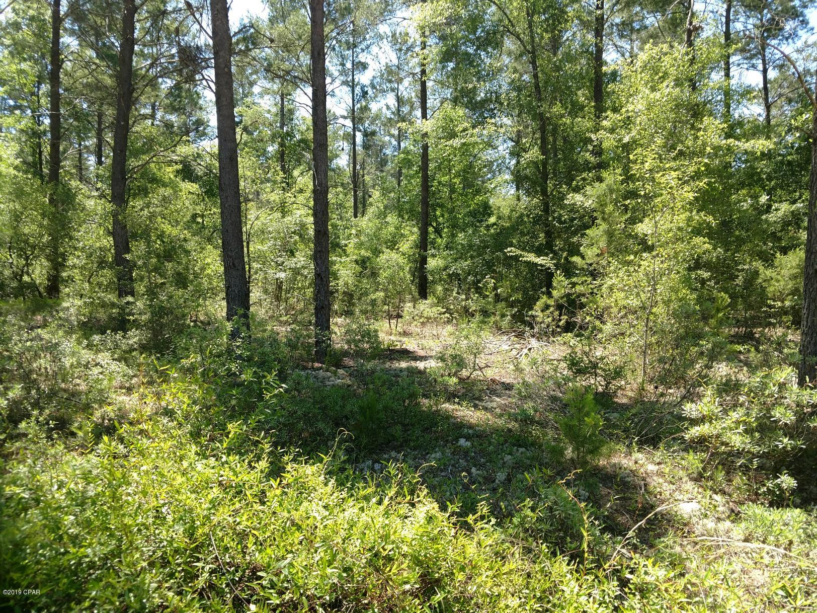 Woodland Meadows - Land