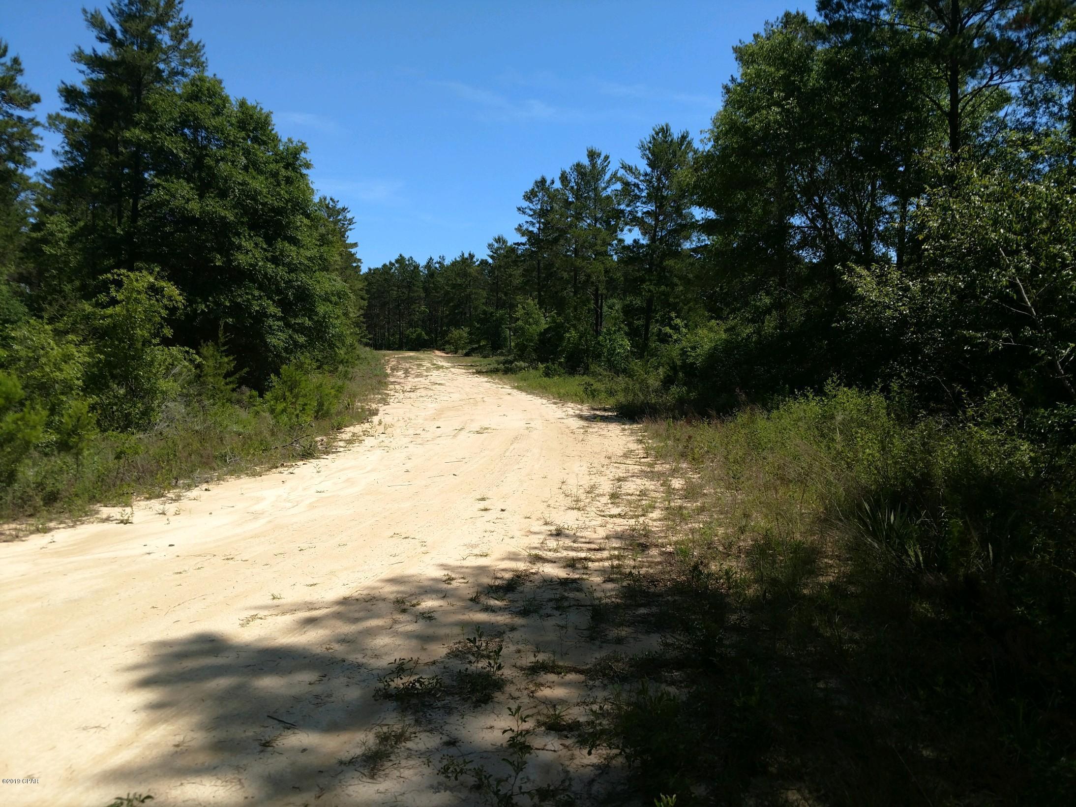 Woodland Meadows - Land