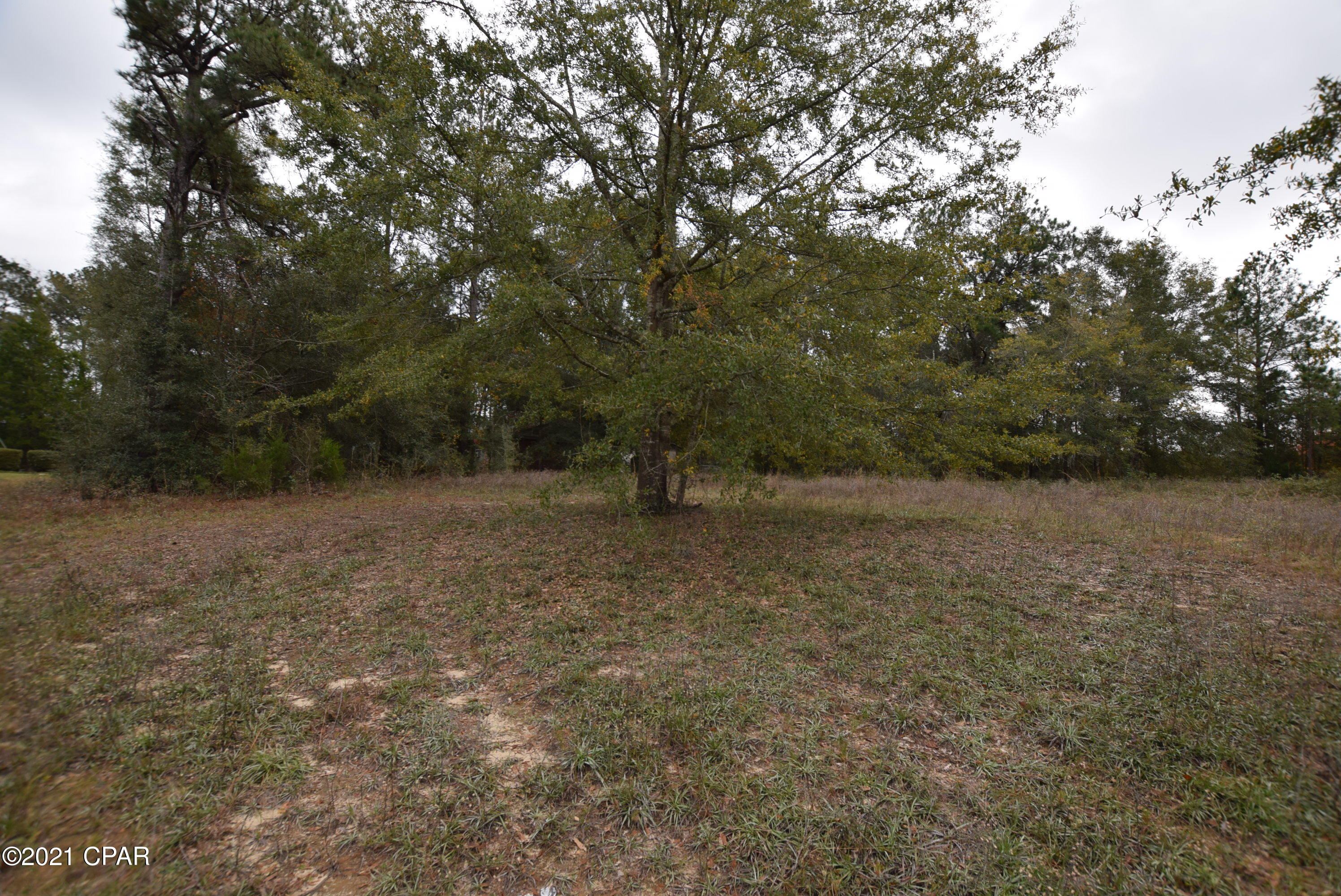 Dogwood Lake Estates - Land