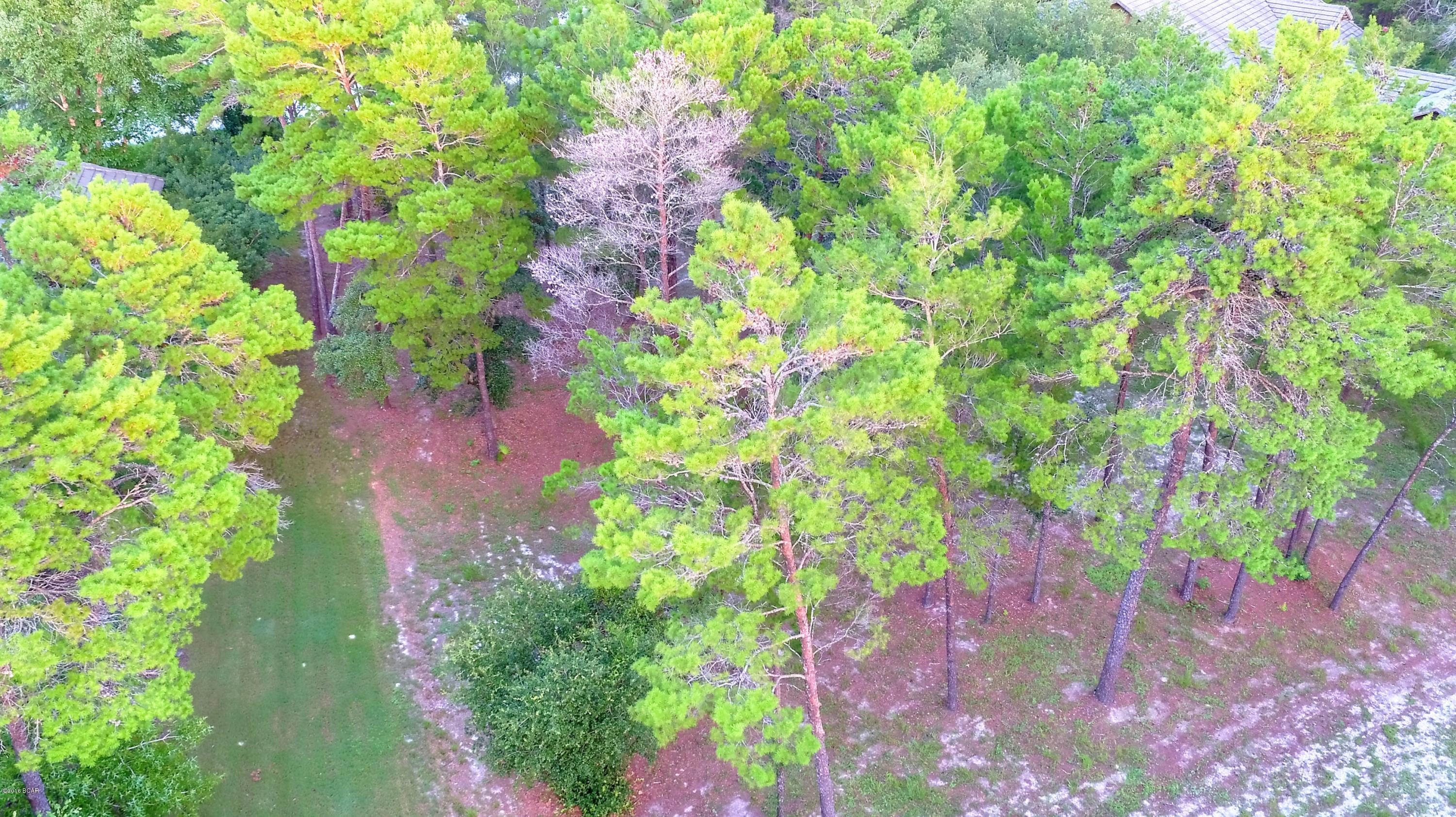 Wild Heron Phase IV - Land