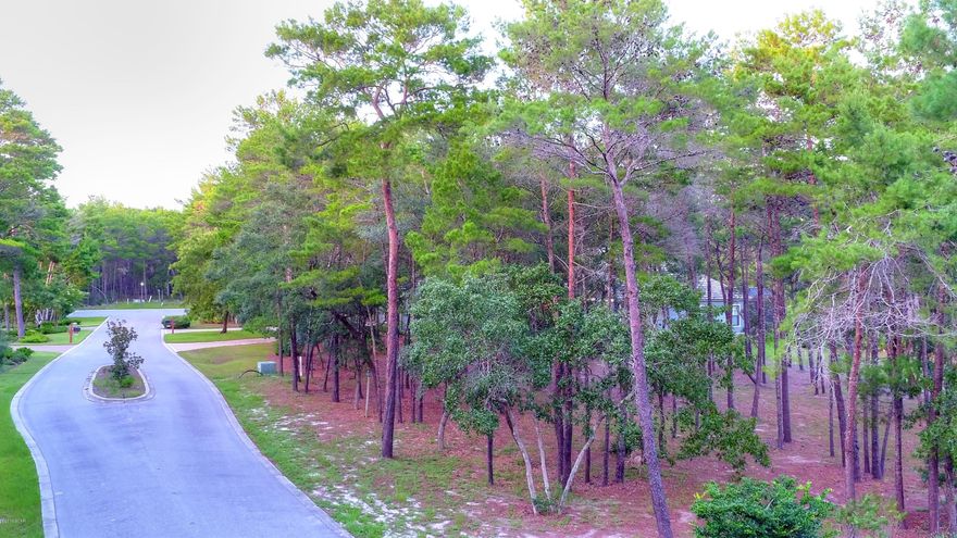 MOTIVATED SELLER!!

Beautiful home lot in the gated waterfront community of Wild Heron.  Lot backs up to a waterfront conservation area. . Executive homes located in this area of Wild Heron. This is the closest large community to the 30A area without paying 30A prices.



1610 Shark's Tooth Trail also available at $59,900
