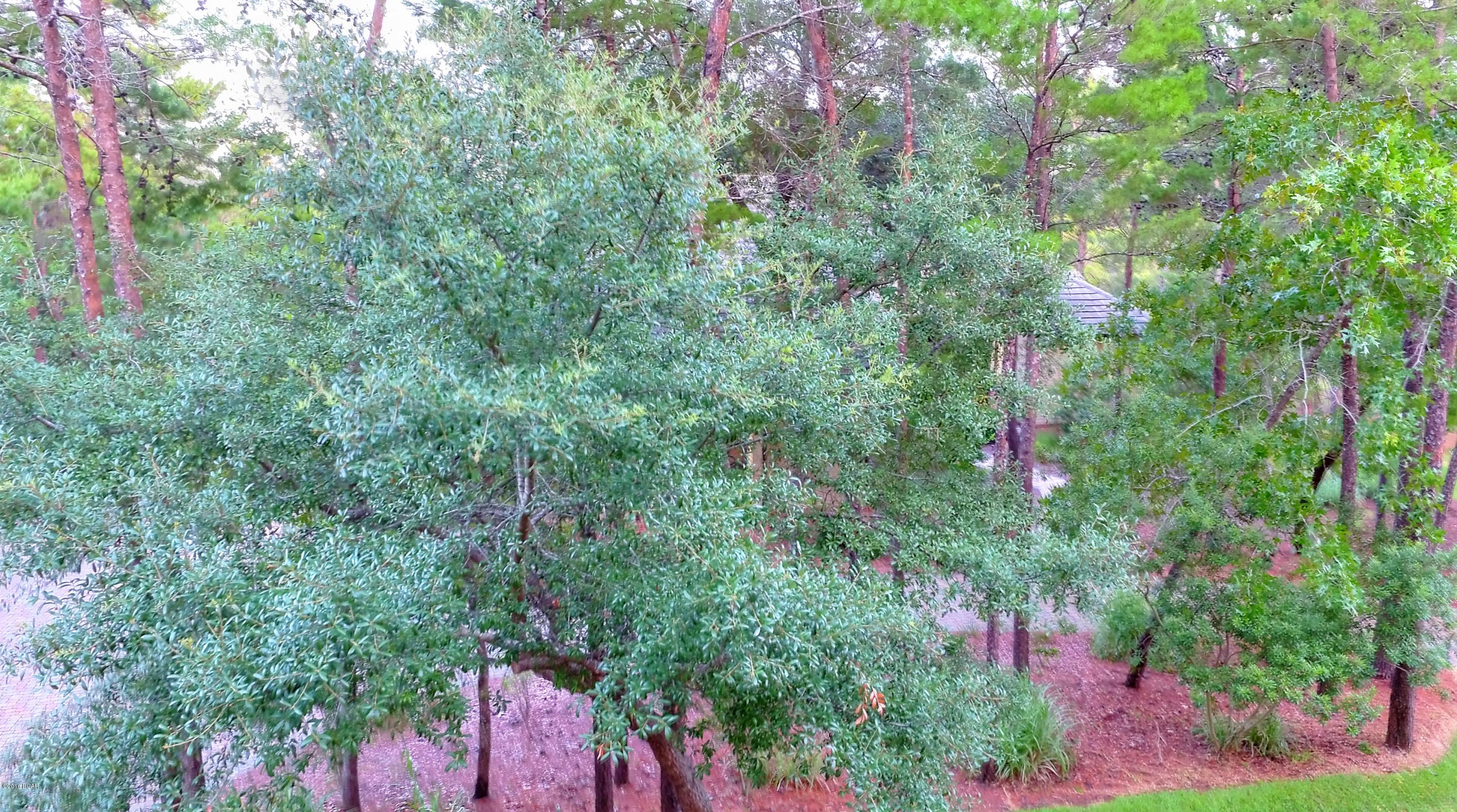 Wild Heron Phase IV - Land