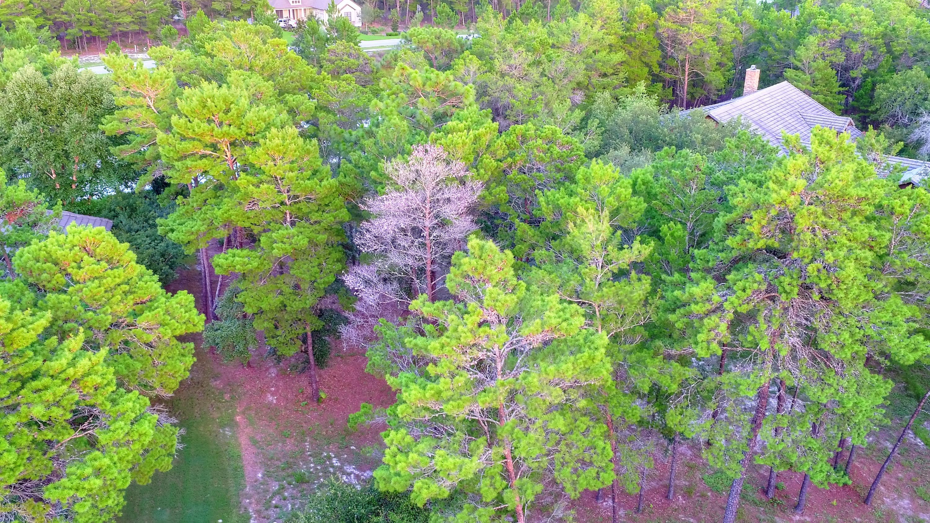 Wild Heron Phase IV - Land