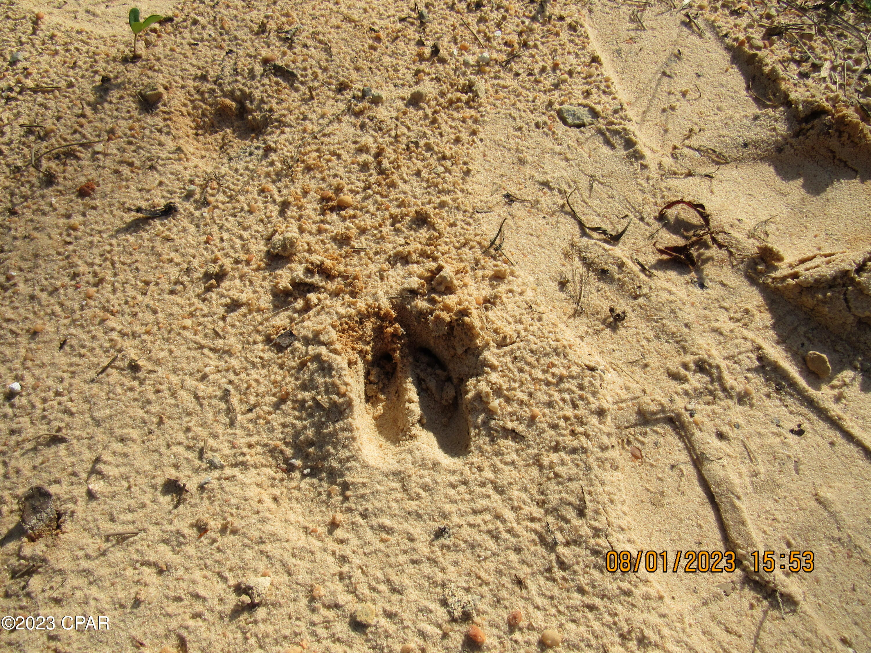 Highview Acres - Land