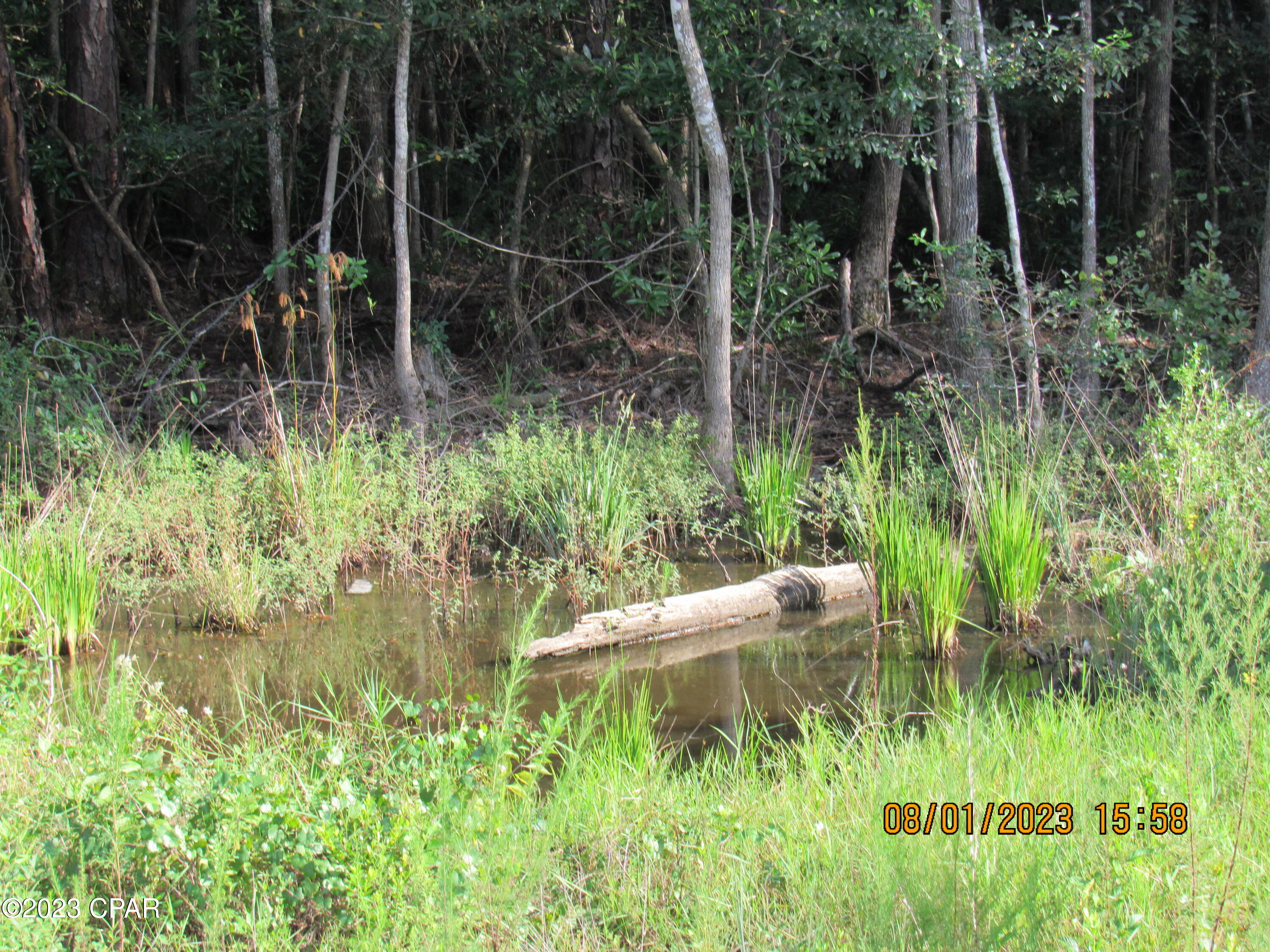 Highview Acres - Land