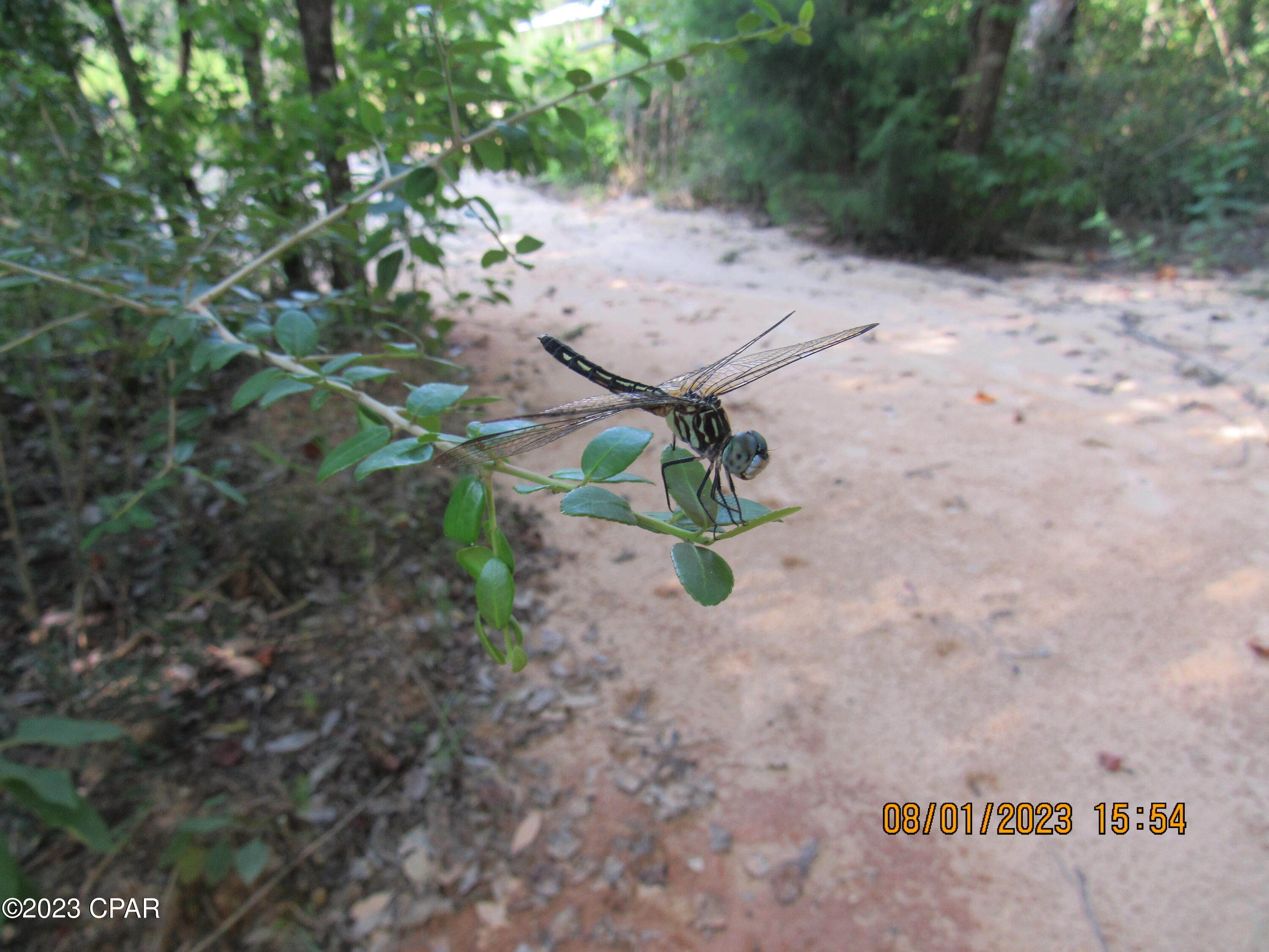 Highview Acres - Land