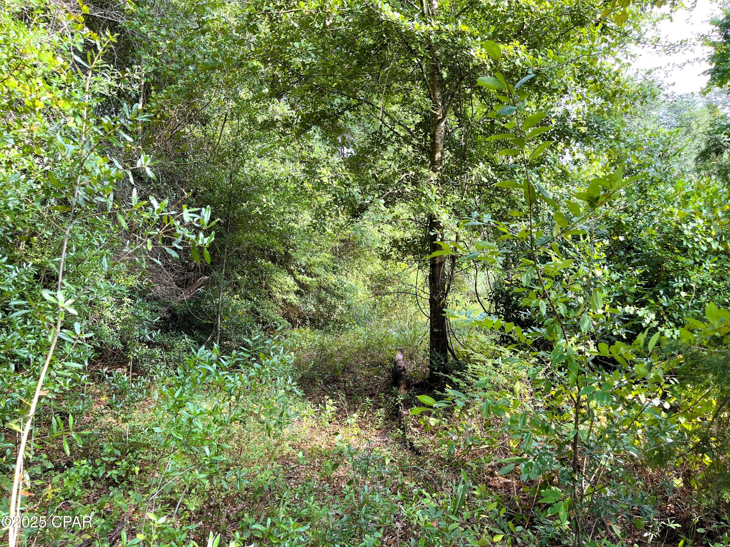 No Named Subdivision - Land