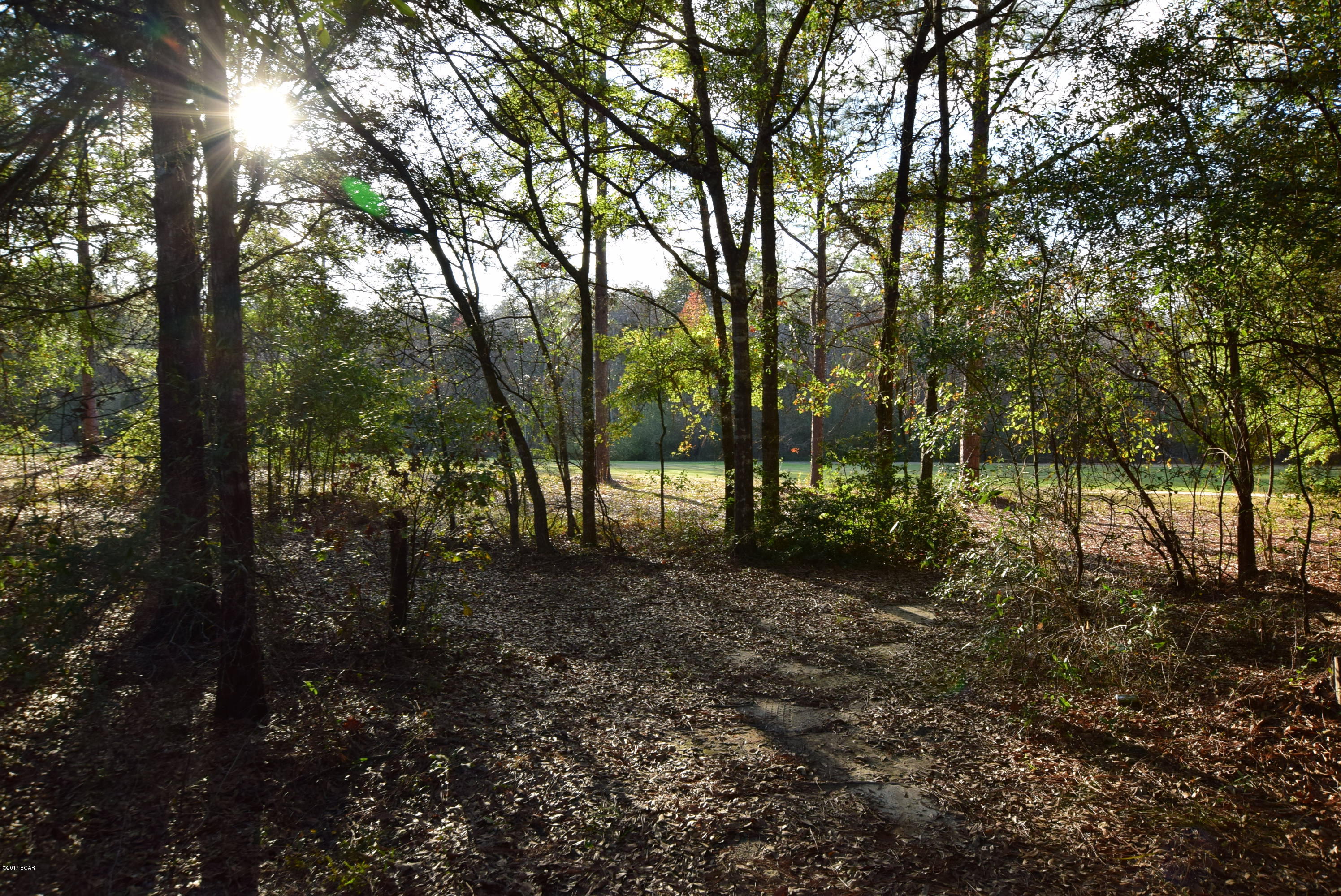 Dogwood Lake Estates - Land