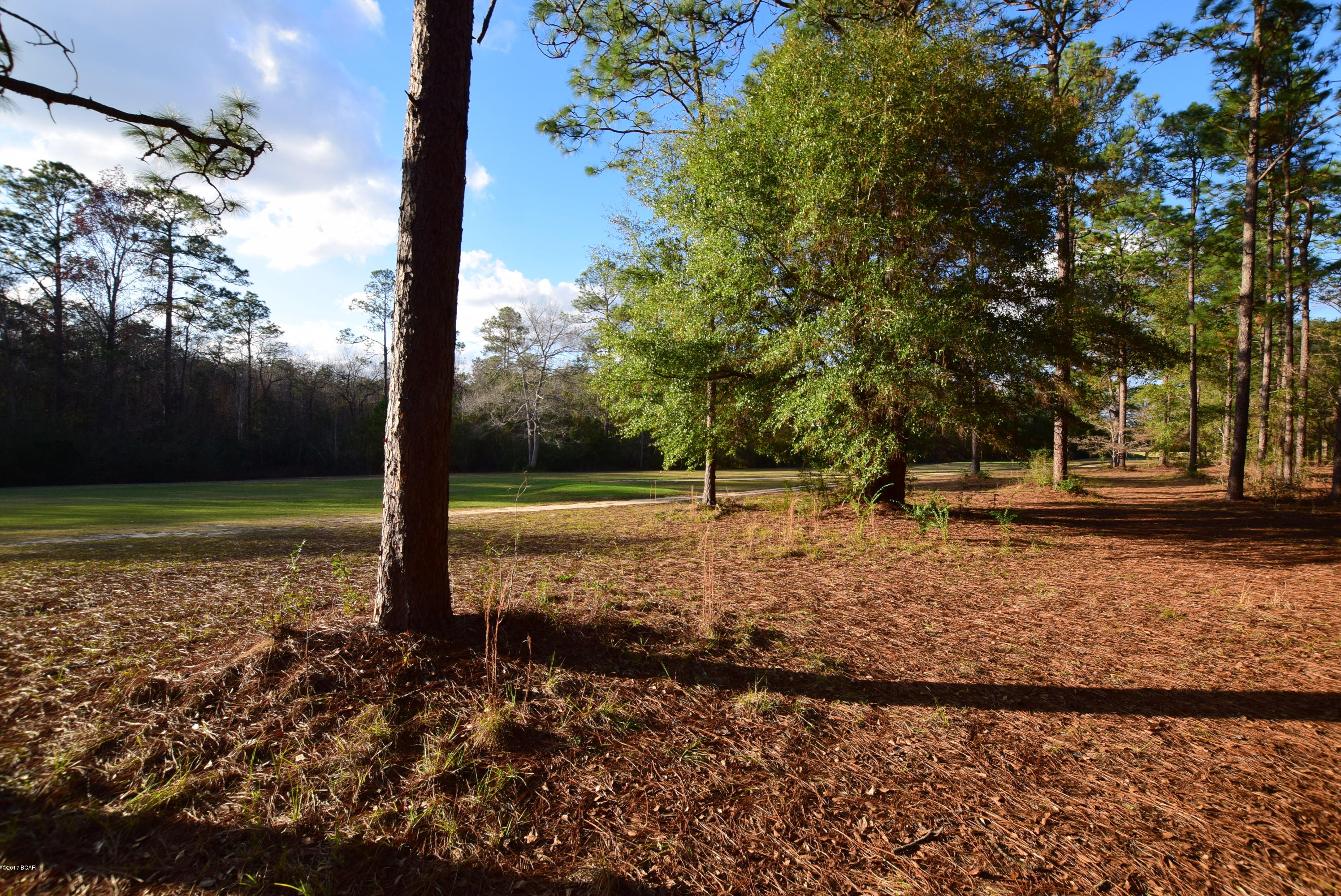 Dogwood Lake Estates - Land