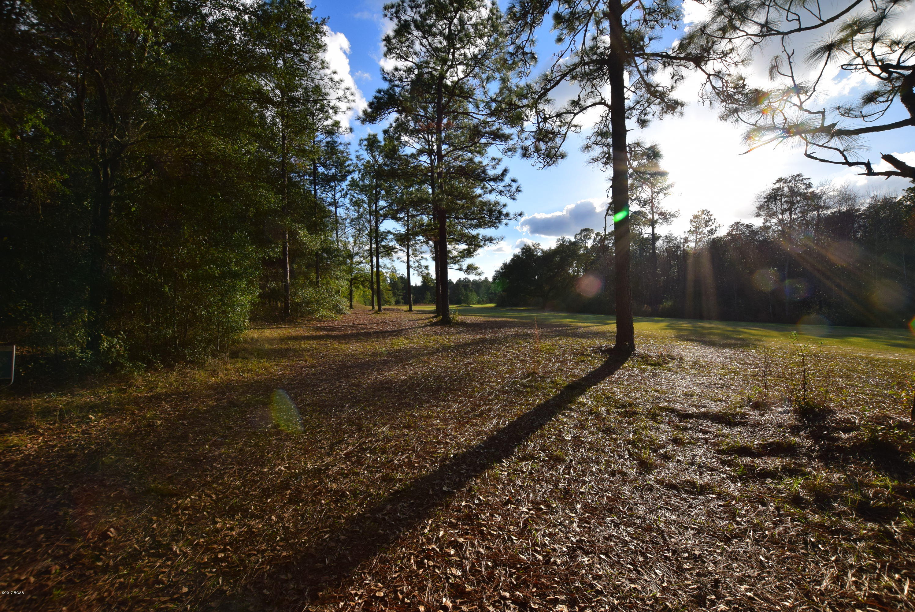 Dogwood Lake Estates - Land