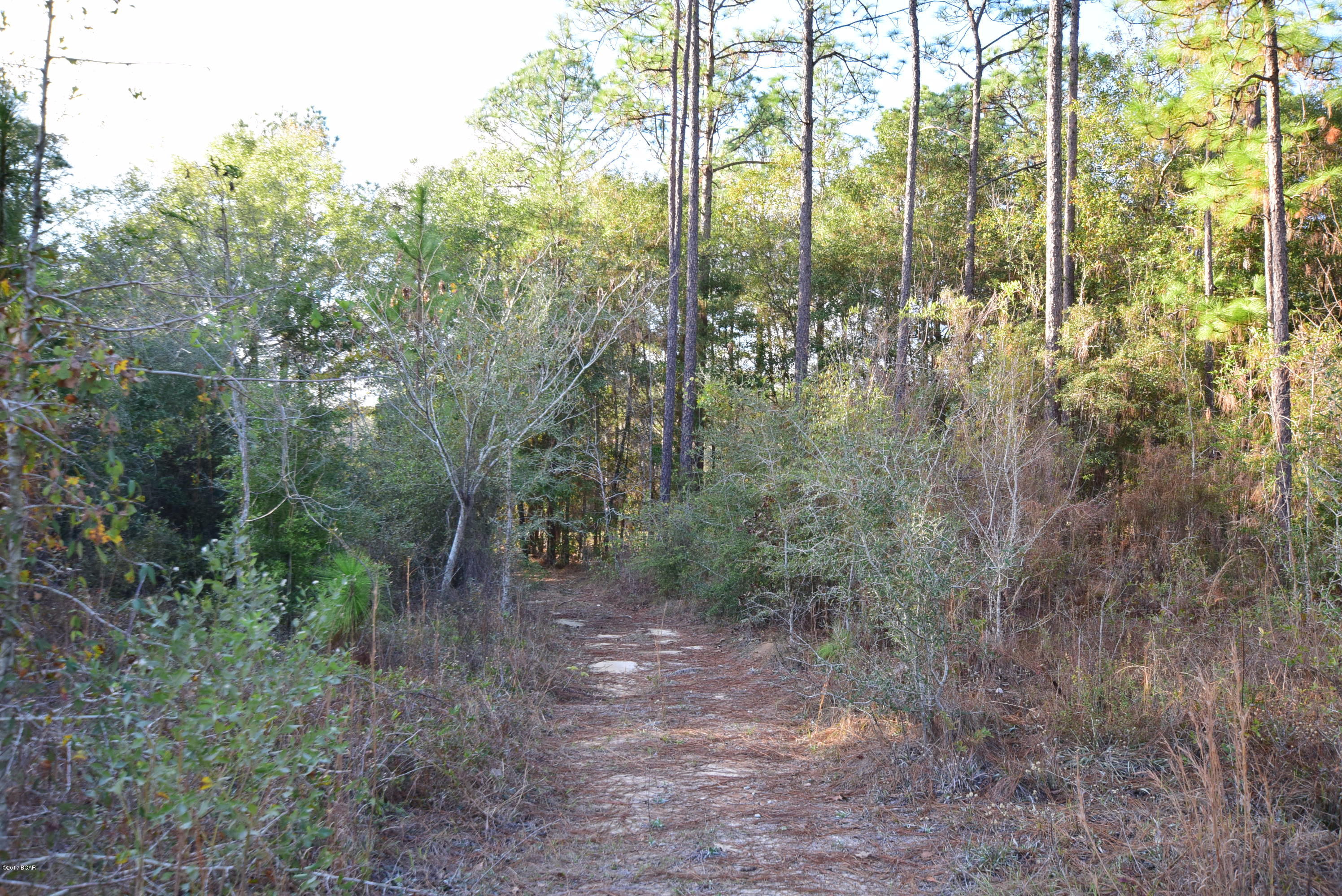 Dogwood Lake Estates - Land