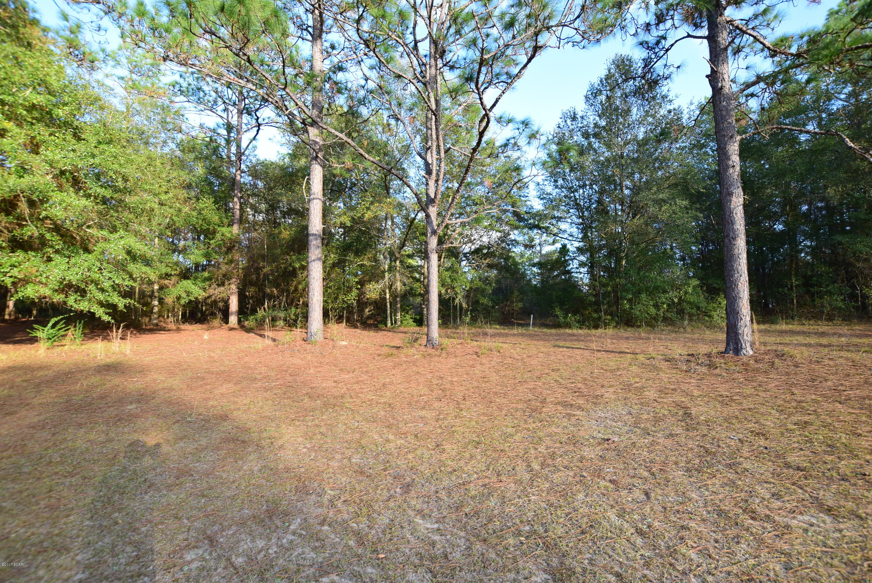 Dogwood Lake Estates - Land