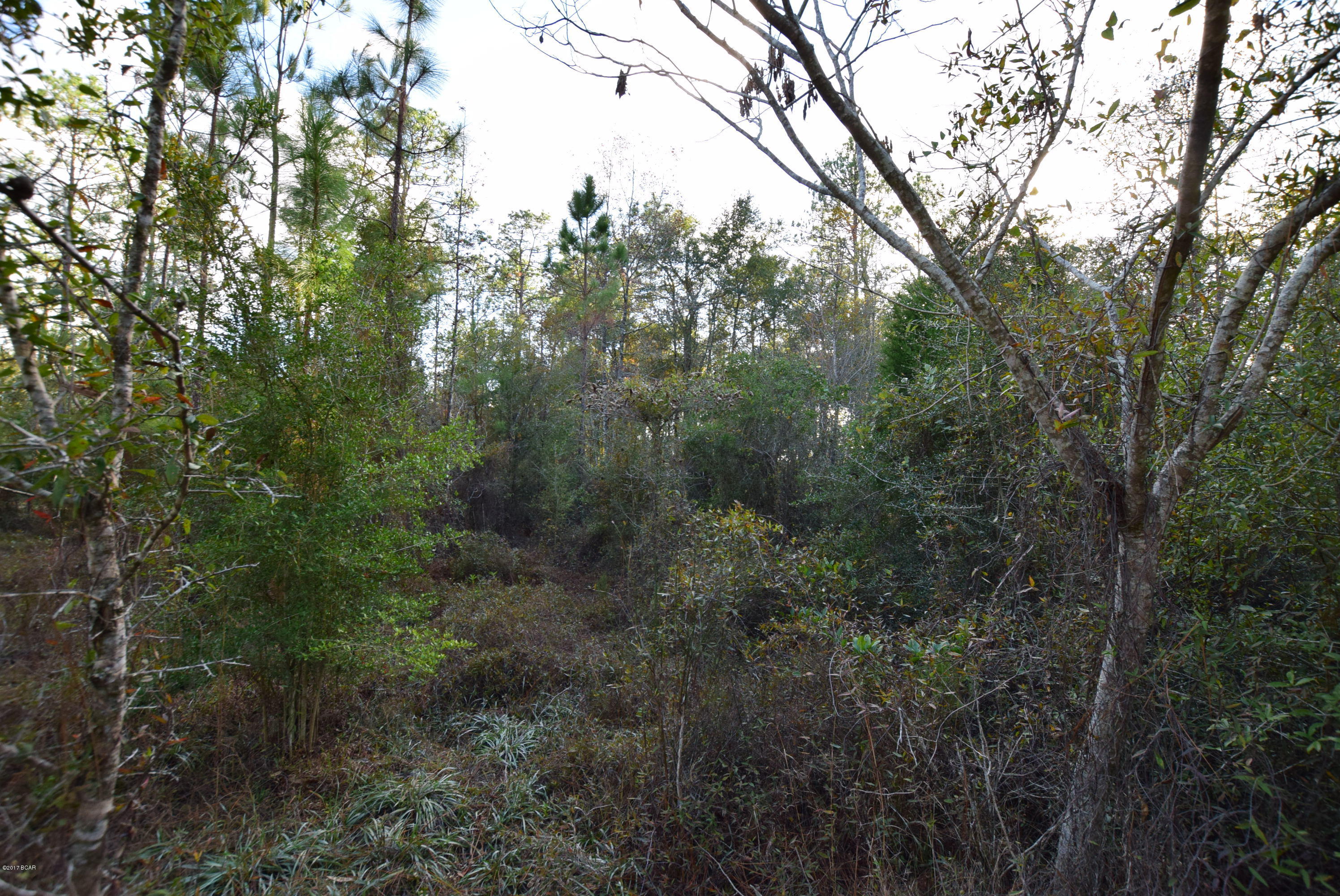 Dogwood Lake Estates - Land